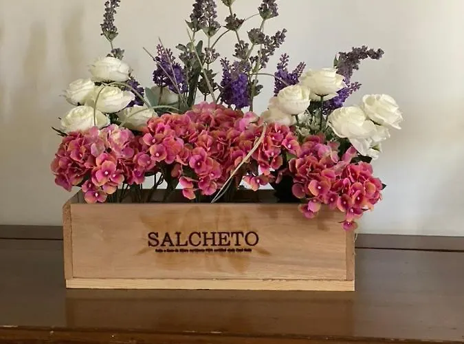 50mt Dal Mare * Βιαρέτζιο